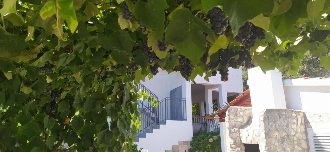 Apartment Lavanda Nova Ražanj Esterno foto
