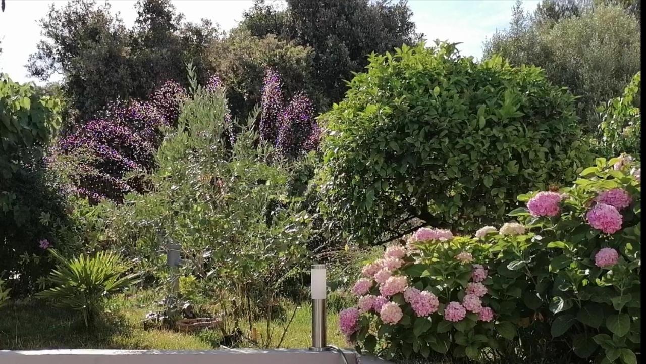 Apartment Lavanda Nova Ražanj Esterno foto