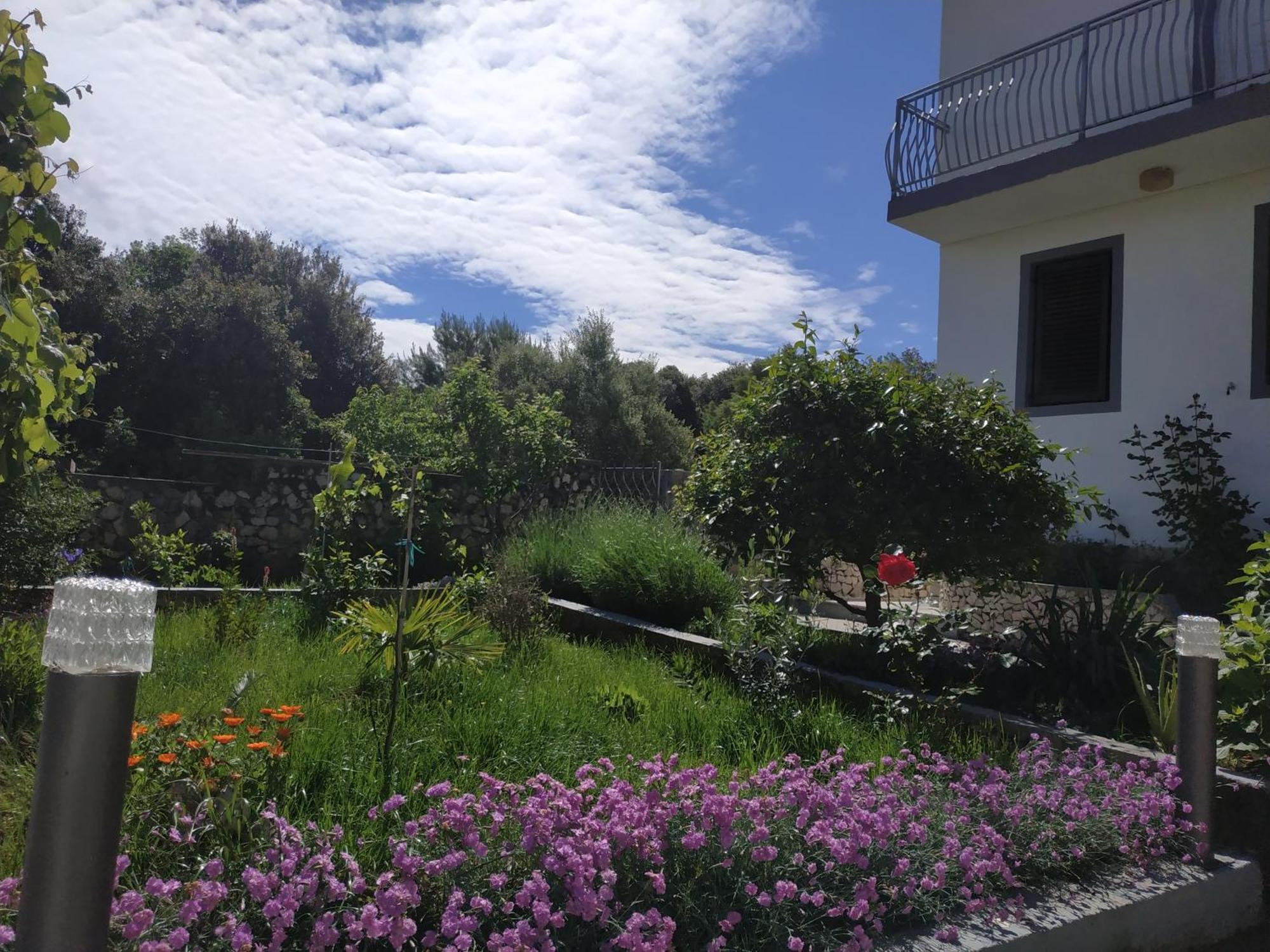 Apartment Lavanda Nova Ražanj Esterno foto