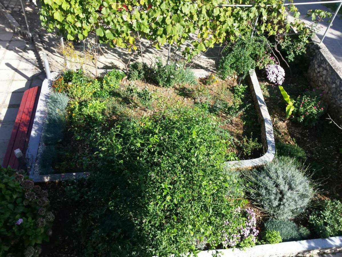Apartment Lavanda Nova Ražanj Esterno foto
