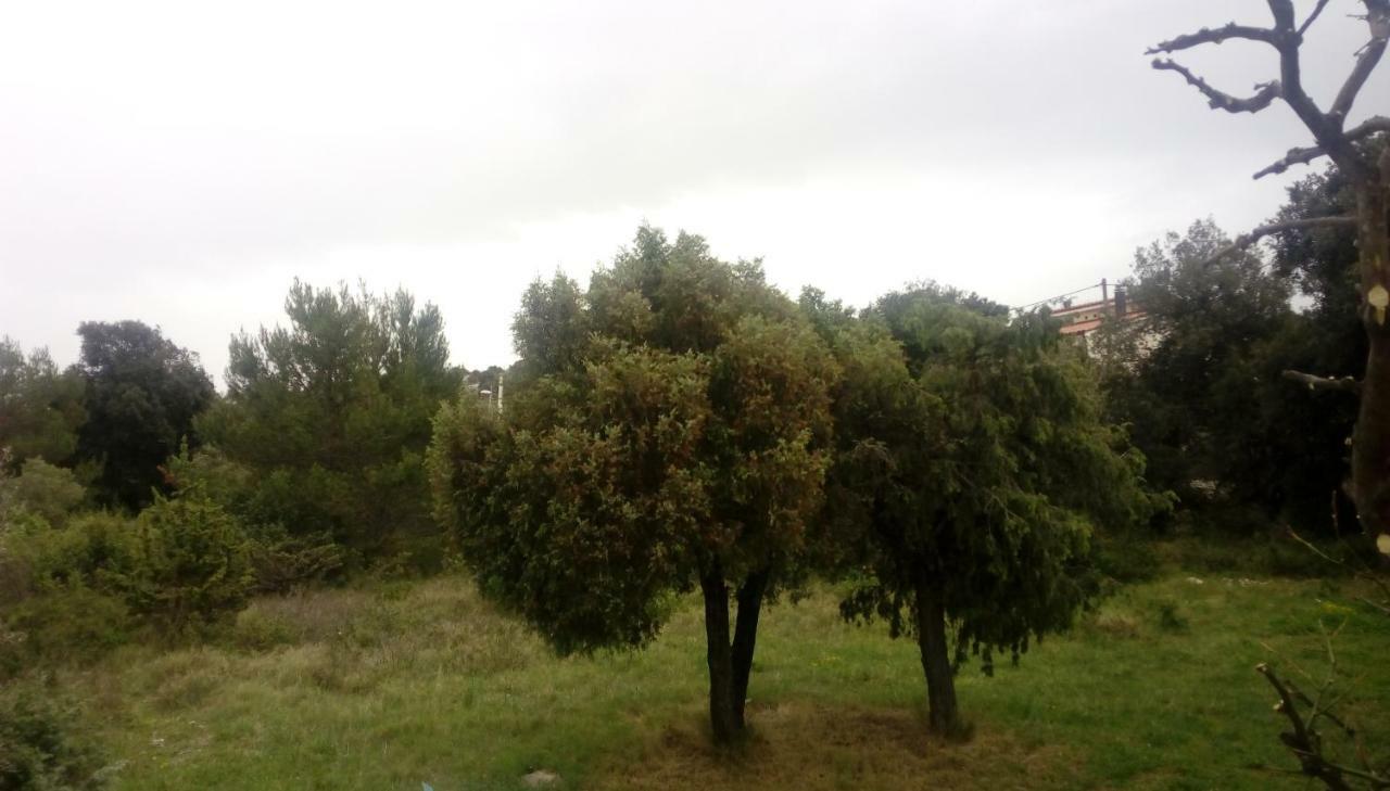 Apartment Lavanda Nova Ražanj Esterno foto